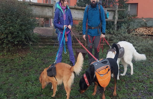 Agriturismo Piccola Raieda - Photo 41