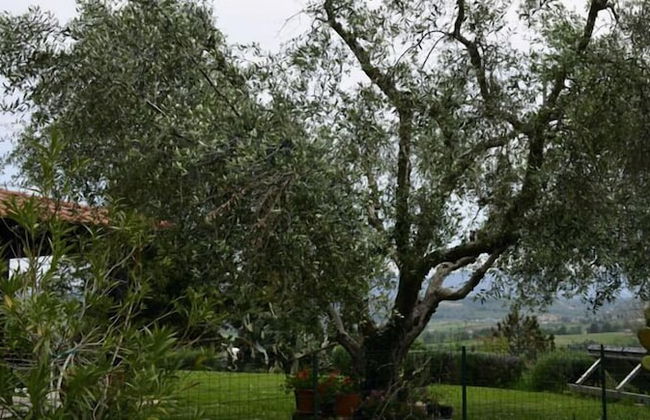 Casale Di Colle - Photo 24