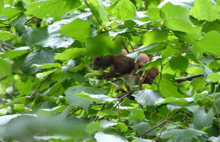 FeWo Dreiseitenblick - Foto 24