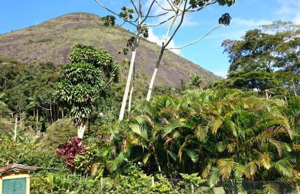 Casa de Araras - Foto 63