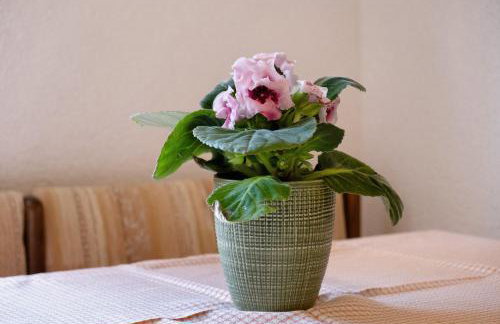 Ferienwohnung Schartenschmiede - Foto 11