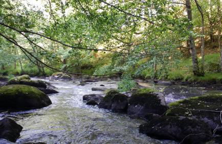 Gîtes LES Fougeres DU LAC - Foto 39
