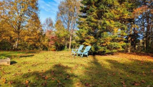 Jacuzzi, Fireplace, Nature, Views, Peaceful, Patio - Foto 1