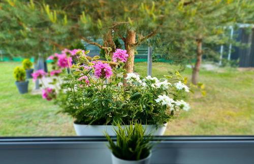 Domek Konrad - balia ogrodowa dodatkowo płatna - Foto 37