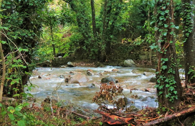 Casa Rural Parada Real - Foto 47