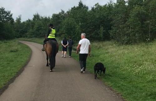 Hagg Hill Farm - Dog & Horse Friendly Near Newcastle - Foto 16