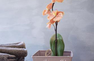 Chalet les 4 saisons - Ski, parking et jardin - Foto 13