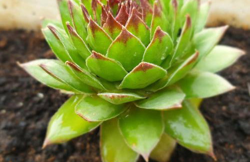 Waterview Apartments w pool - Photo 40