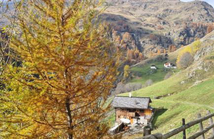 Englhof Comfortable Holiday Residence - Foto 69