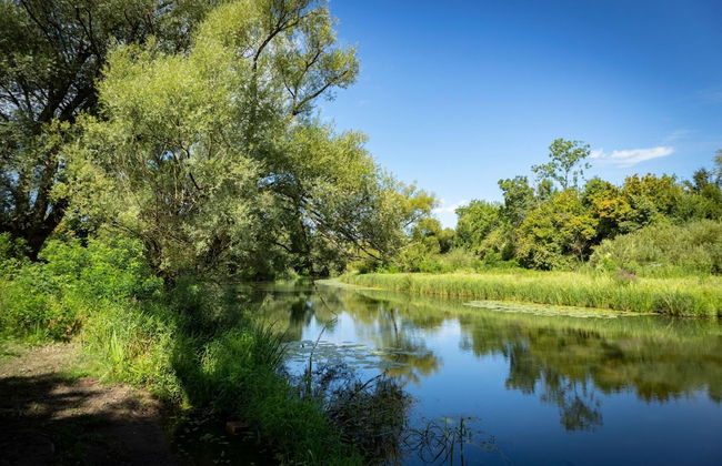 Pool House Klara With Sauna - Photo 42