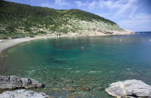 Cota Quinta - Foto 8