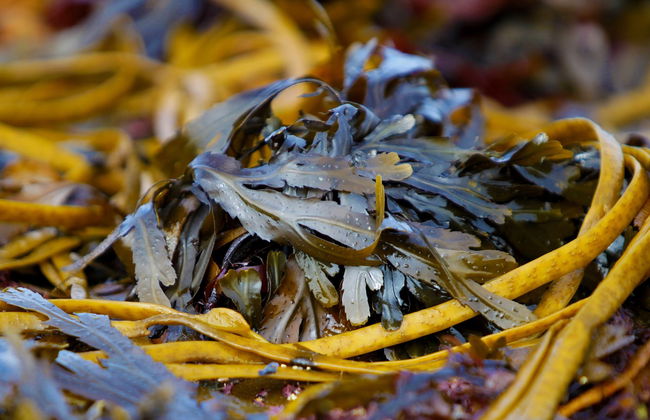 Kilkee Bay - Foto 23