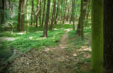 Pauza Spacja Apartamenty - Foto 40