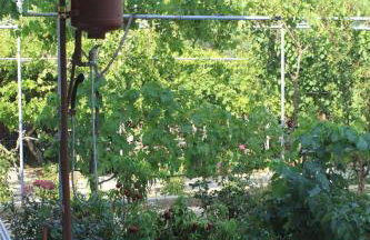 Apartments by the sea Ugljan - 8264 - Foto 9