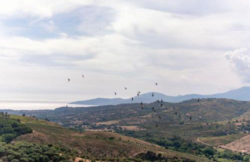 Corte degli Ulivi - Foto 64