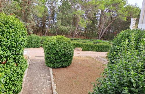 Tenuta Lo Cuoccio - Foto 36