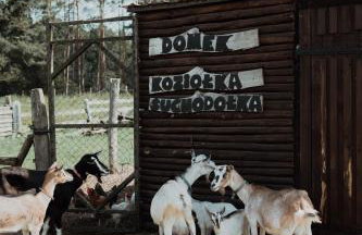 "Koziołek Suchodołek" - Foto 36