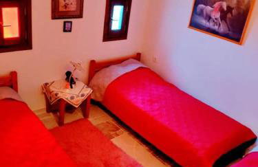 Villa Annoula - Photo 8