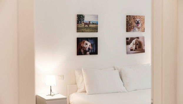 Sandy - Foto 5, Zimmer