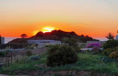 T2 Neuf climatisé dans villa à Corbara - Foto 9