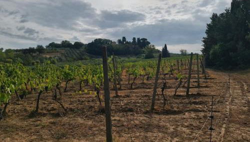 Podere Borgaruccio - Foto 3