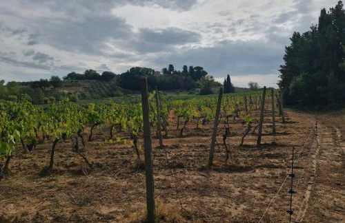 Podere Borgaruccio - Foto 3