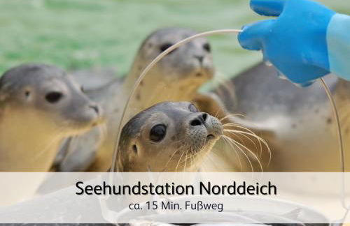 Ideal für Familien & Fellnasen, strandnah - Foto 7