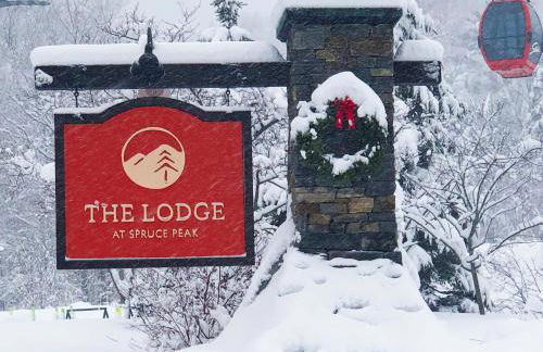 309 2bed Treehouse Unit - Lodge at Spruce Peak - Ski in Ski Out - Sleeps 5 - Foto 8