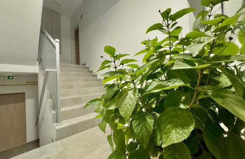 Apartament Oleńka - Foto 30