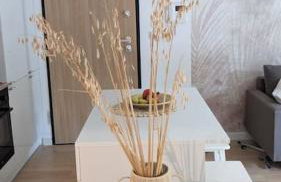 Apartament&SPA Lis&Las - Photo 8