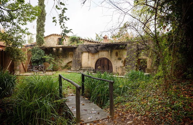 Molinos de Fuenteheridos - Photo 52