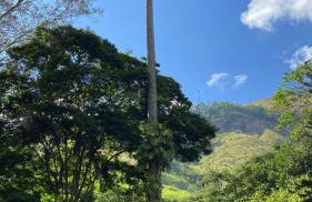 Vila São José - Foto 33