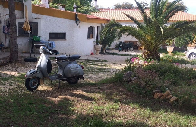 Nature Houses - Foto 39