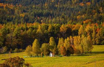 Chata drewniana Stefanówka - Foto 74
