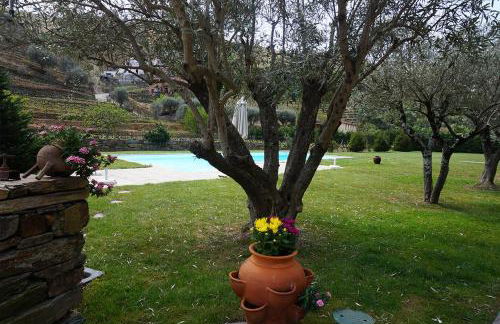 Quinta Madureira - Foto 70