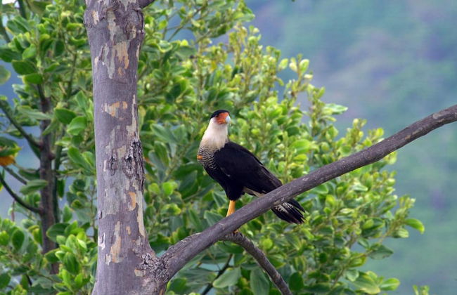 Luxe 4 Bdrm Villa w Epic Oceanview Infinity Pool - Foto 64