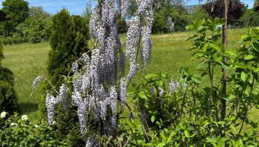 Haus Wiesenblick - Foto 2