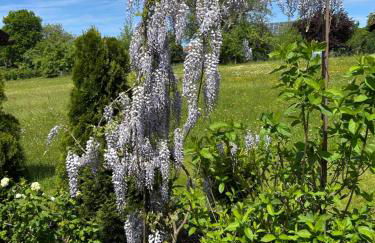 Haus Wiesenblick - Foto 2