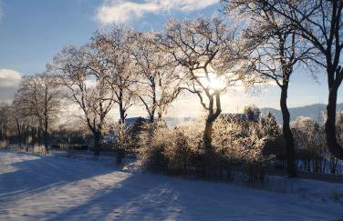Agroturystyka Natalia - Foto 14