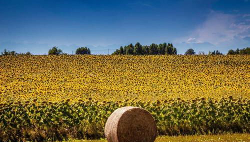 Il Poggio Agrisport - Foto 4