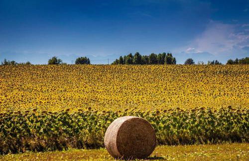 Il Poggio Agrisport - Foto 4