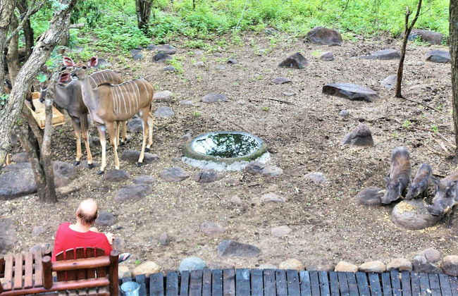 Kruger Kumba - Lahlekile Nathi - Photo 50