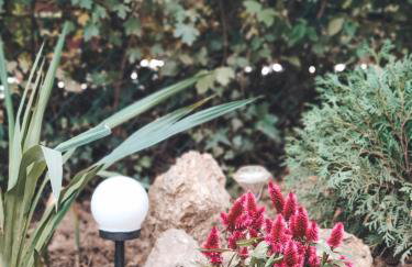 Villa-Apartments Bognar - Photo 42