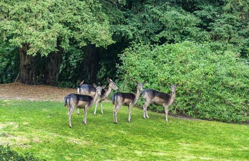 Church Cottage - Foto 21