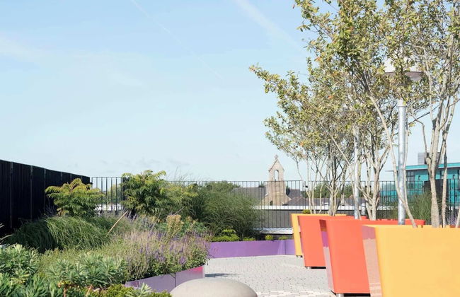 Student Only Dorset Point - Photo 16