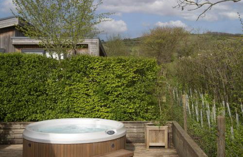 Cedar Lodge, Strawberryfield Park - Photo 29