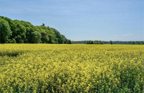 Haus Waldblick - Foto 23