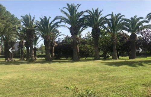 casa del sorriso - Foto 17