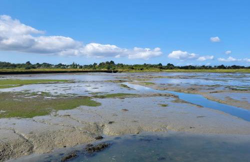 Studio cosy Piscine Rocherfort en Terre Centre - Foto 27
