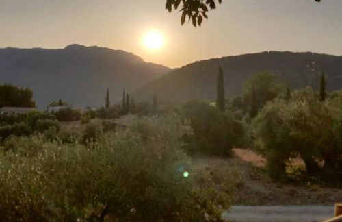 Alojamiento Encarnación - Foto 18